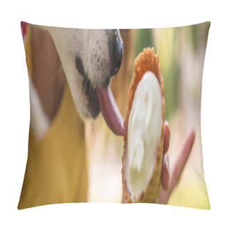 Personality  Horizontal Image Of Jack Russell Terrier Dog Licking Tasty Ice Cream Pillow Covers