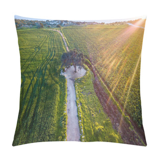 Personality  Tree Pillow Covers