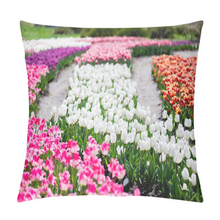 Personality  Selective Focus Of Blooming Colorful Tulips Field Pillow Covers