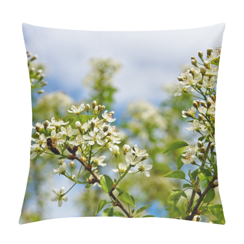 Personality  Blossom cherry tree. pillow covers