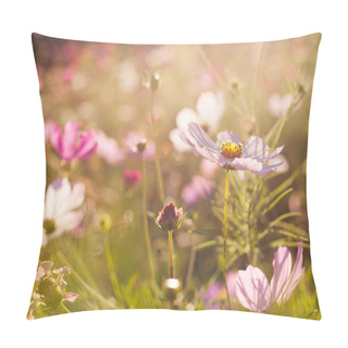 Personality  Cosmos Flowers Pillow Covers