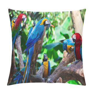 Personality  Group Parrots Pillow Covers