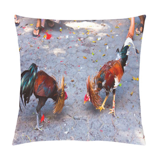 Personality  A Traditional Roosters Fight In Bali Pillow Covers