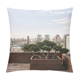 Personality  A Vibrant Tree Gracefully Thrives In A Planter On A Rustic Wooden Deck, Bathed In Sunlight And Bringing Nature Into This Urban Space Pillow Covers