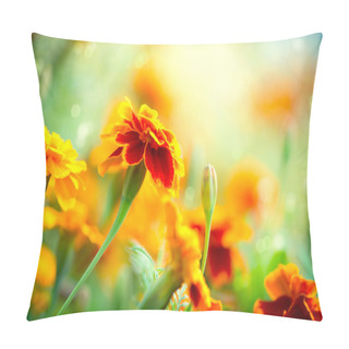 Personality  Tagetes Marigold Flower. Autumn Flowers Background Pillow Covers