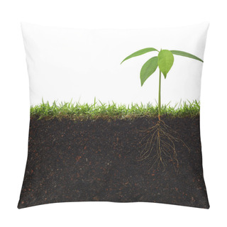Personality  Plant With Roots Pillow Covers