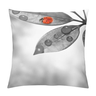 Personality  Ladybug Pillow Covers