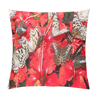 Personality  Butterly Gathering Pillow Covers