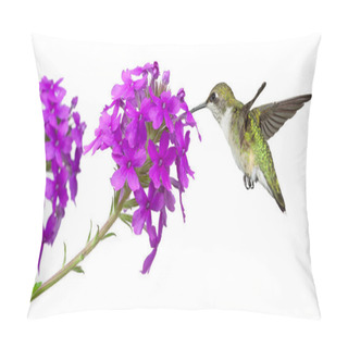 Personality  Hummingbird And A Phlox Pillow Covers