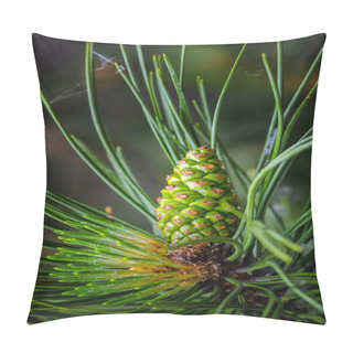 Personality  Pine With Cone Pillow Covers