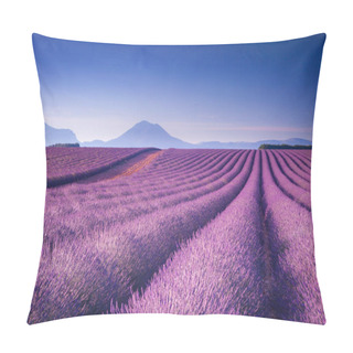 Personality  Fields Of Lavender In Provence, France Pillow Covers