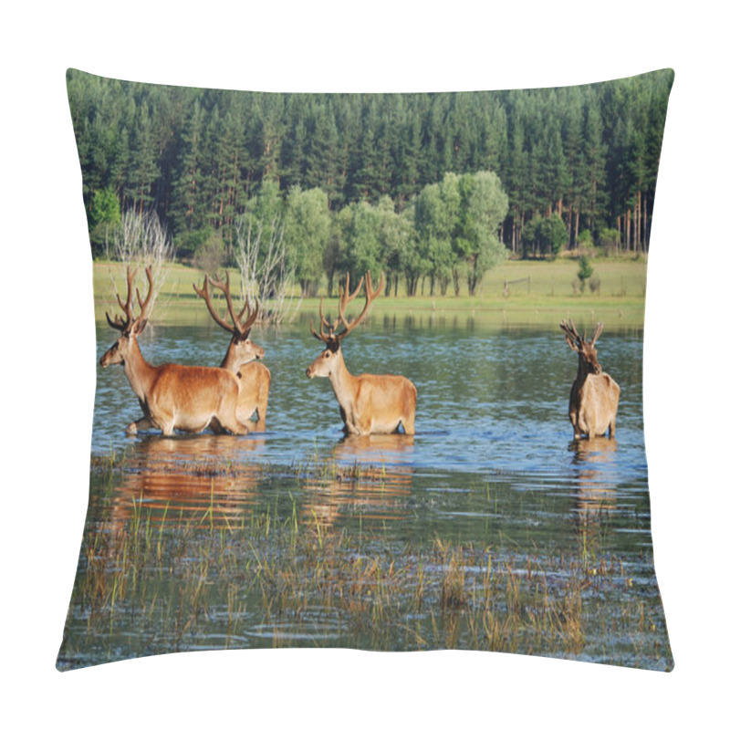 Personality  Deer In Water Pillow Covers