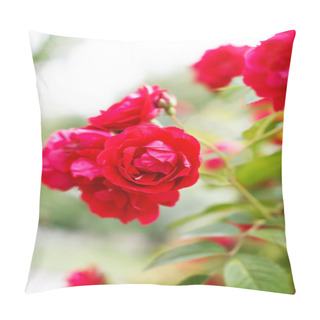Personality  Garden Roses Pillow Covers
