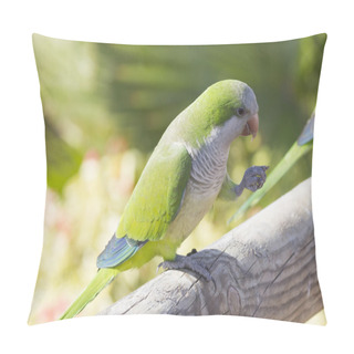 Personality  Monk Parakeet Pillow Covers
