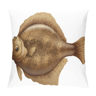 Personality  Psettodes Erumei Flounder Pillow Covers