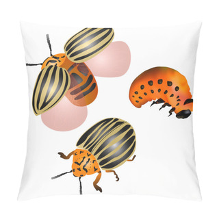 Personality  Three Colorado Potato Beetle Pillow Covers