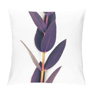 Personality  Twig With Beautiful Purple Leaves Isolated On White Pillow Covers