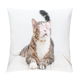 Personality  Cute Cat With Glasses Pillow Covers