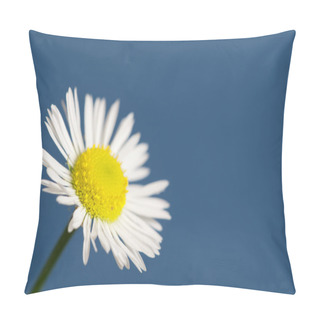 Personality  Ox-eye Daisy Flower Pillow Covers