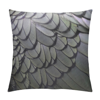 Personality  Bird Feathers Abstract Coloured Exotic Pillow Covers