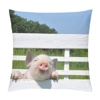 Personality  Small Pig Pillow Covers