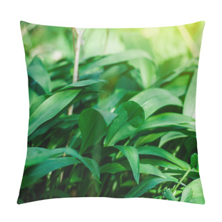 Personality  Wild Garlic In Spring Forest Pillow Covers