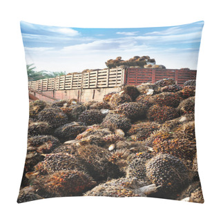Personality  Palm Oil Fruits Pillow Covers