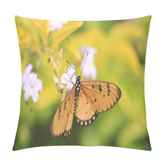 Personality  ButterFly Pillow Covers