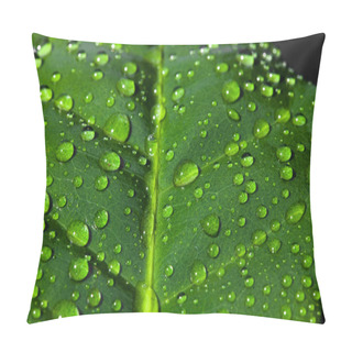 Personality  Drops Of Water On Coffee Plant Pillow Covers