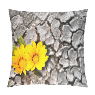 Personality  Concept Of Persistence. Flowers Blooming In Arid Land Pillow Covers
