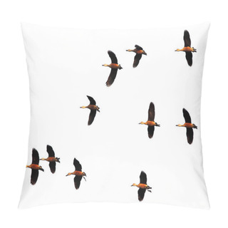Personality  Flight Of Migratory Birds Pillow Covers