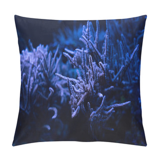 Personality  Corals Under Water In Dark Aquarium With Blue Lighting Pillow Covers