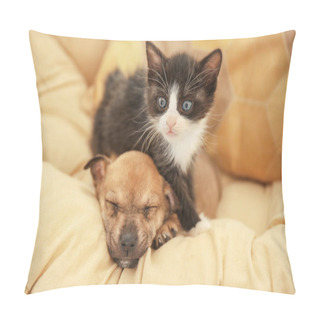 Personality  Cute Little Kitten And Puppy Pillow Covers