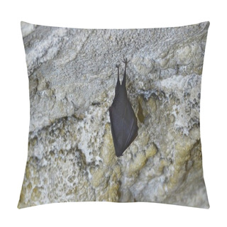 Personality  Lesser Horseshoe Bat (Rhinolophus Hipposideros) In Jama Cave, Solvenia Pillow Covers