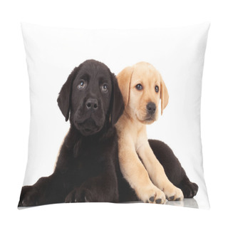 Personality  Two Cute Labrador Puppies Pillow Covers