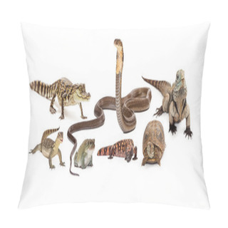 Personality  Group Of Various Reptiles Pillow Covers