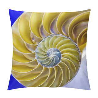 Personality  Nautilus Shell Pillow Covers