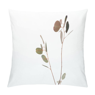Personality  Green Decorative Eucalyptus Branches Isolated On White Pillow Covers