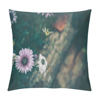 Personality  Daisy Chamomile Flowers; Nature Background ; Vintage Style Pillow Covers