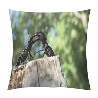 Personality  Deer Beetles Fight Pillow Covers