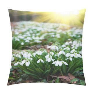Personality  White Snowdrop Flowers In Spring Forest Pillow Covers
