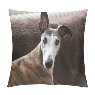 Personality  Beautiful Whippet Head Portrait Pillow Covers