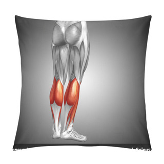 Personality   Human Lower Leg Anatomy Pillow Covers