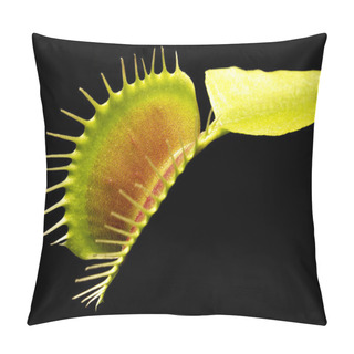 Personality  Carnivorous Plant Detail Pillow Covers