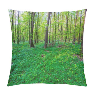 Personality  Spring Forest Landscape With White Anemones Blooming. Natural Forest Landscape. Pillow Covers