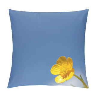Personality  Buttercup Flower On Sky Background Pillow Covers