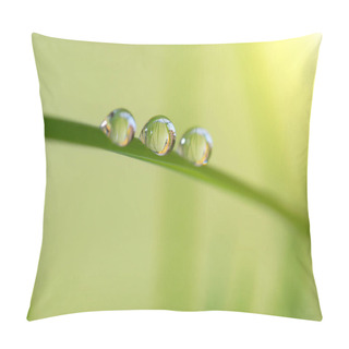 Personality  Close-up Of The Large Drops Of Fresh Morning Dew On Green Grass With Sunlight Pillow Covers