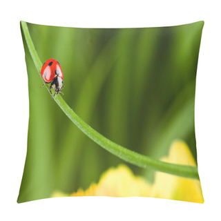 Personality  Ladybug Running Along On Blade Of  Green Grass Pillow Covers