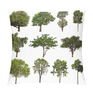 Personality  Isolated Tree Green Set Is Located On A White Background.Collection Of Isolated Tree Green On White Background Tropical Tree Pillow Covers