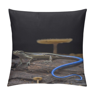 Personality  Emoia Caeruleocauda, (Blue Tailed Skink) Commonly Known As The Pacific Bluetail Skink, Is A Species Of Lizard In The Family Scincidae. Pillow Covers
